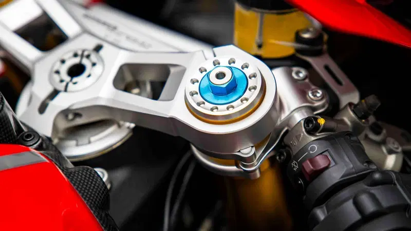 Ducati 1299 Panigale R Final Edition (2017 - 20) (10)