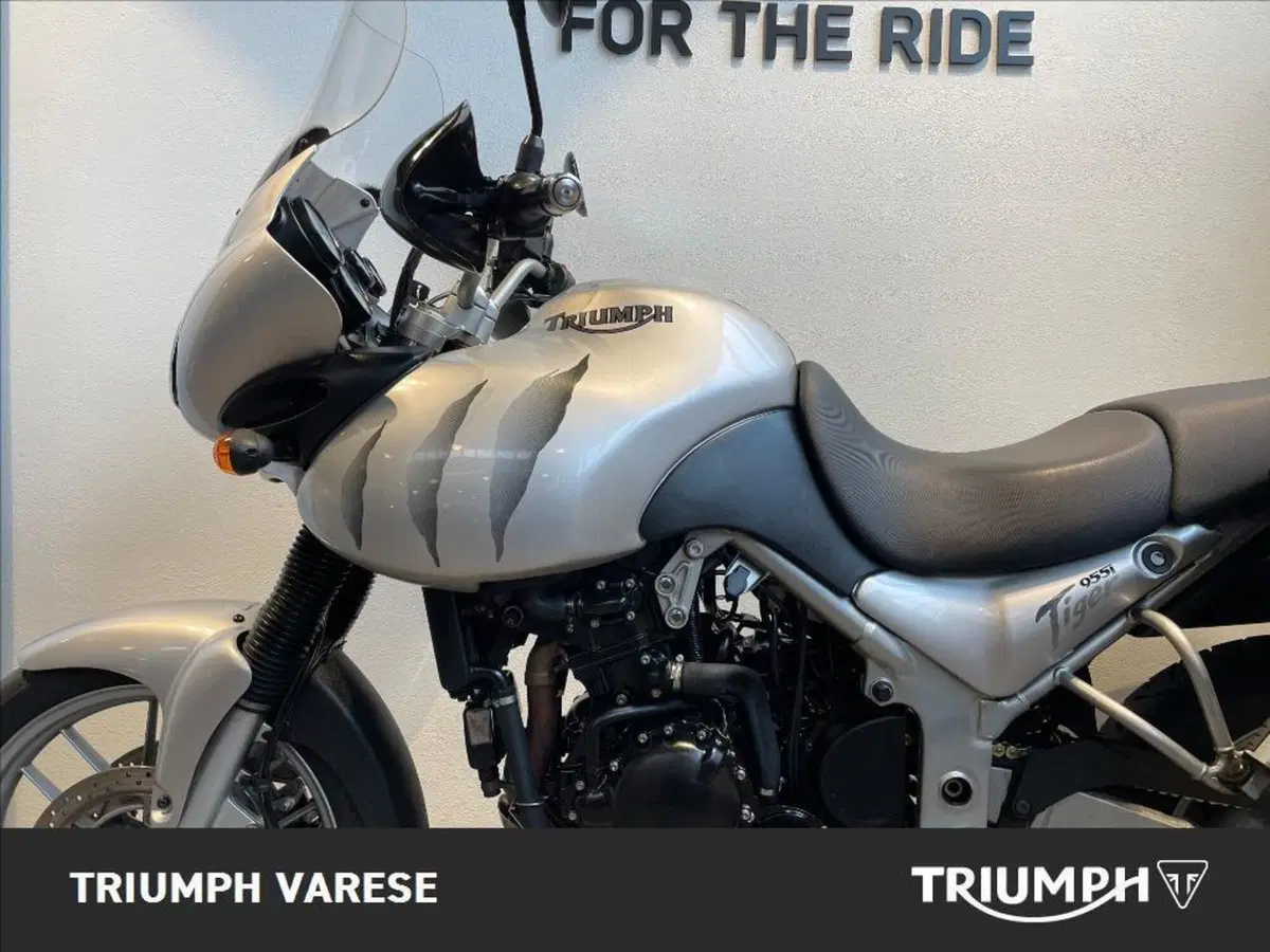 Triumph Tiger 955 (2002 - 06) (6)