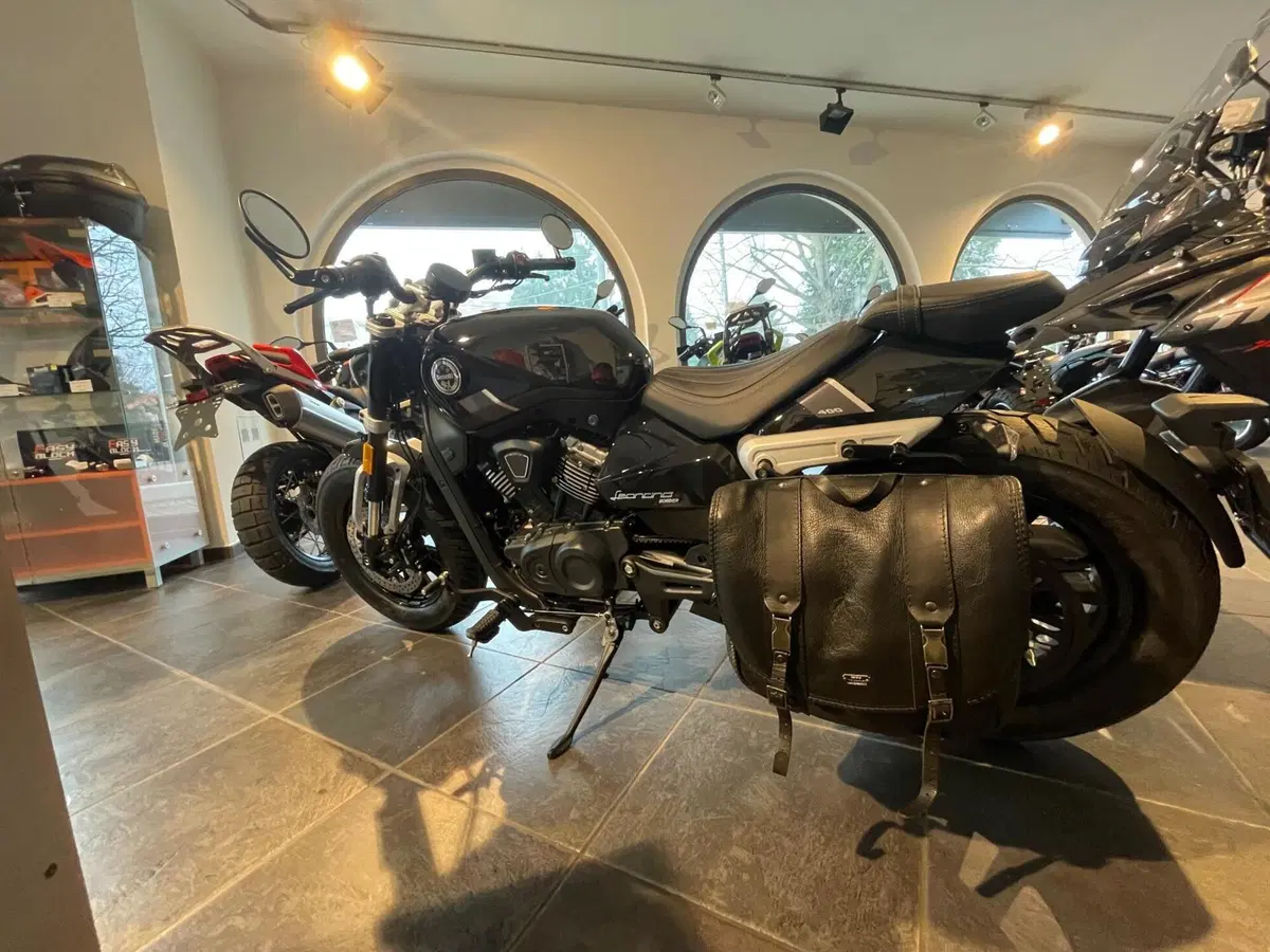 Benelli Leoncino 400 Bobber (2026) (2)