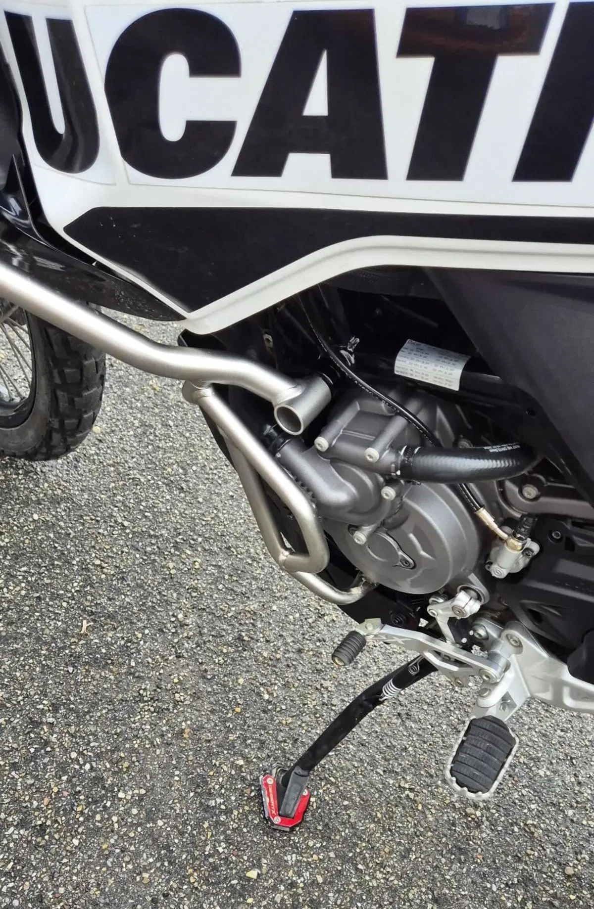 Ducati DesertX Rally (2024 - 25) (5)
