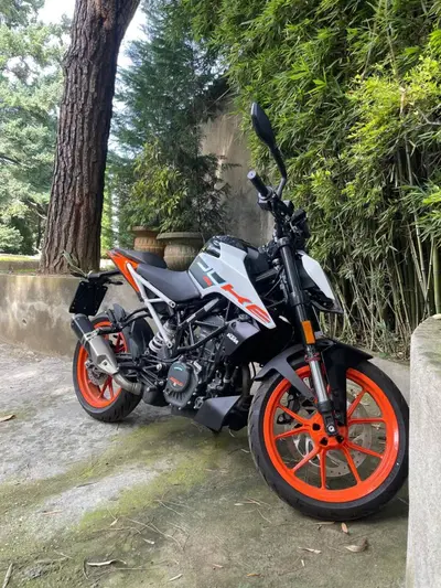KTM 125 Duke (2024 - 25) usata