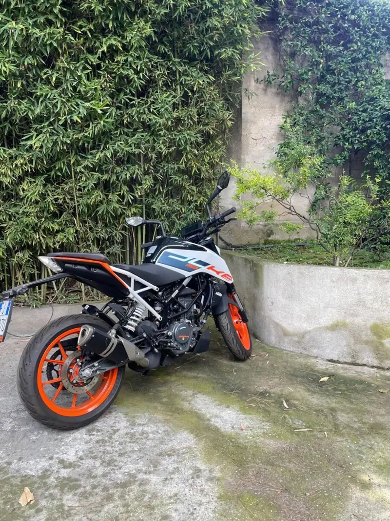 KTM 125 Duke (2024 - 25) (6)