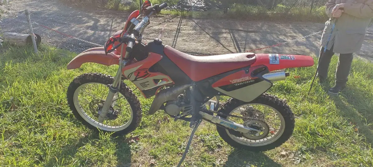 Betamotor Cross RK6 (2)