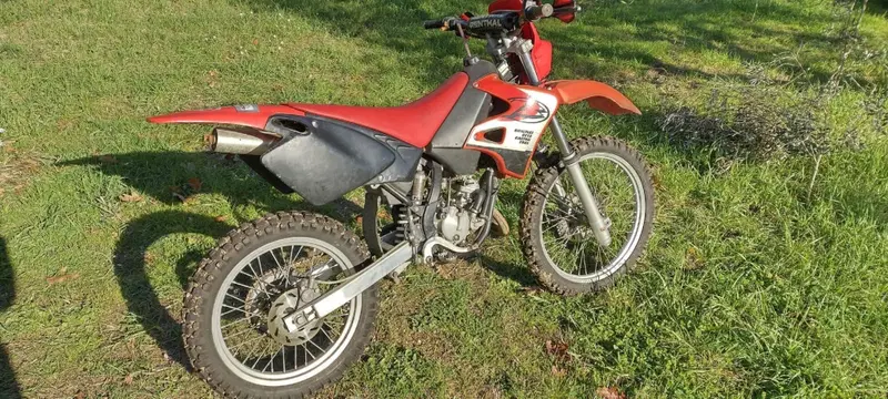 Betamotor Cross RK6 (4)