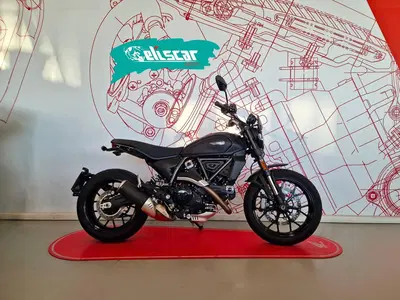 Ducati Scrambler 800 Icon Dark (2025 - 26) usata