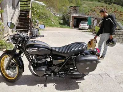 Kawasaki W 800 (2010 - 17) usata