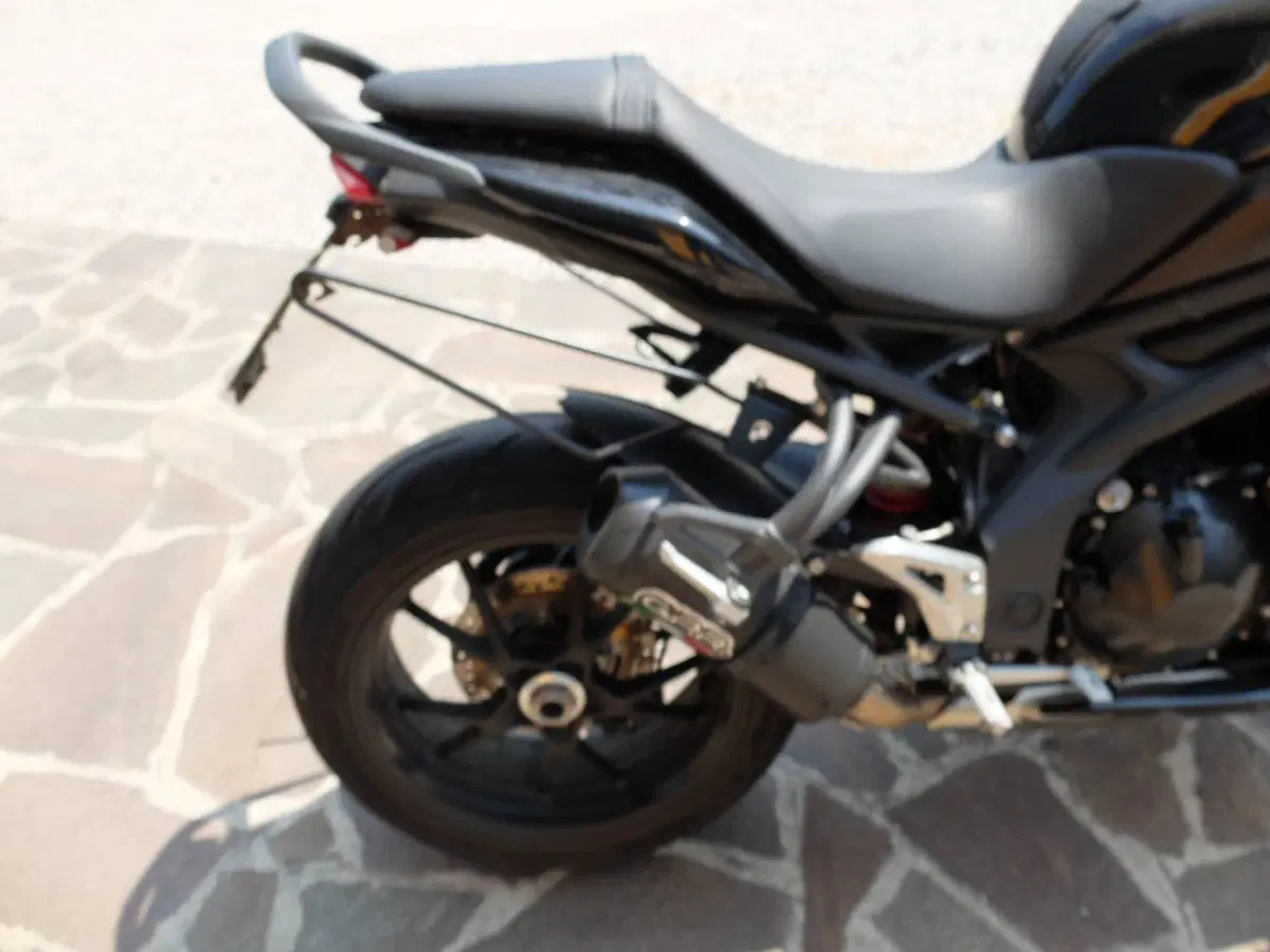 Supporti laterali Salva bisacce RTP x Triumph Spee (5)