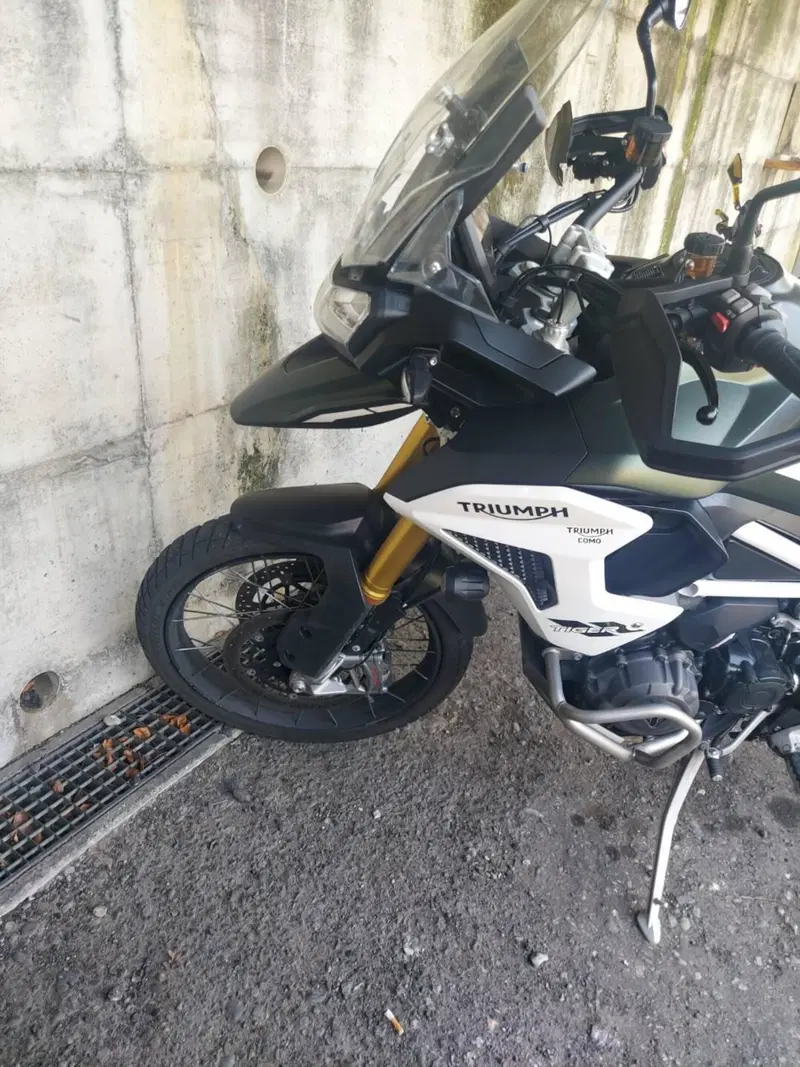 Triumph Tiger 1200 Rally Pro (2022 - 23) (10)