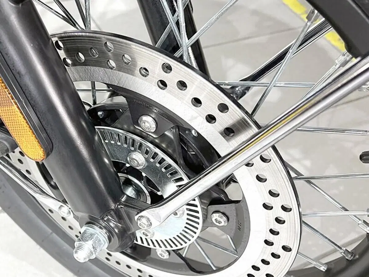 Bsa Gold Star 650 (2024 - 26) (4)