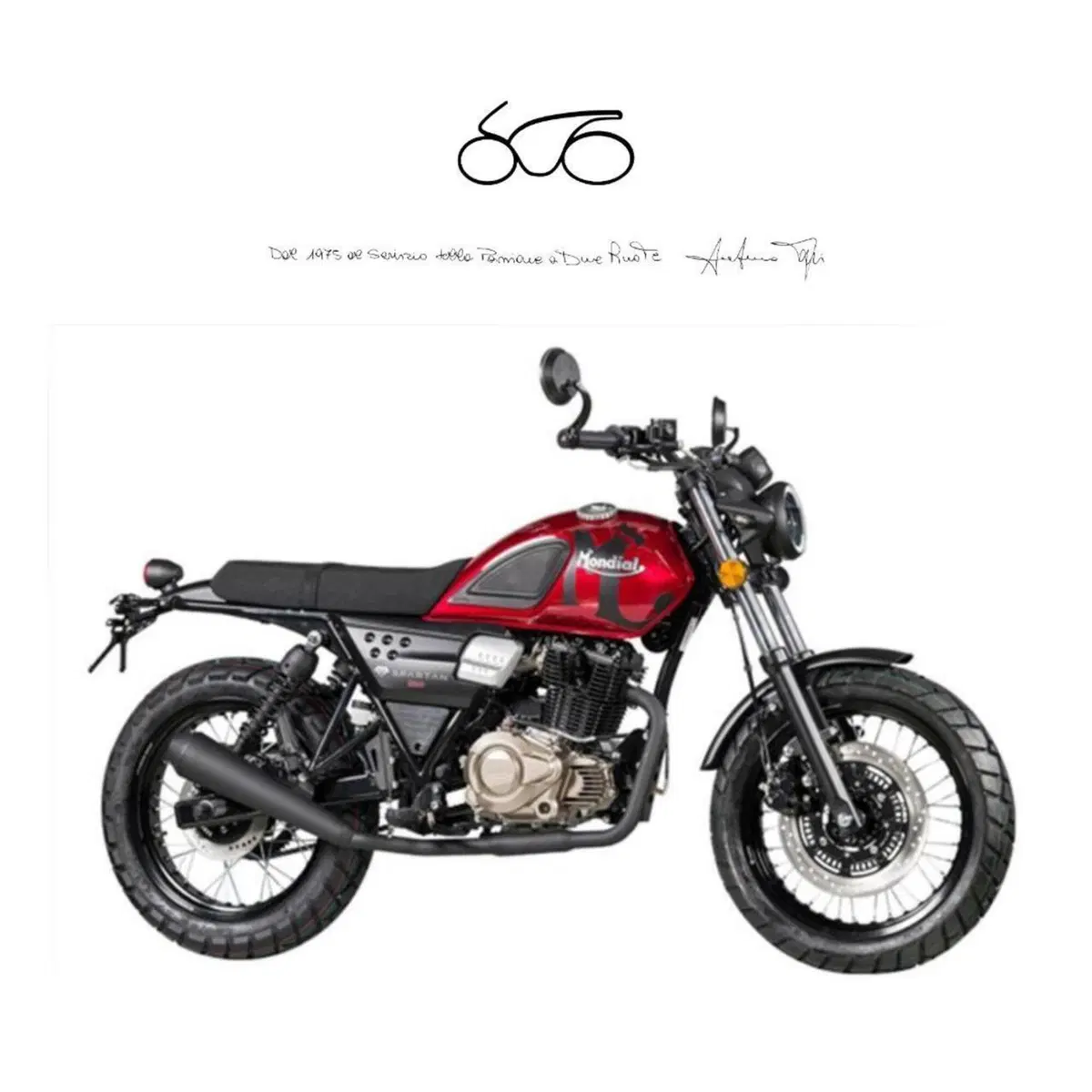 FB Mondial Spartan 250 (2025 - 26)