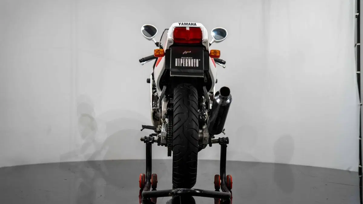 Yamaha FZR 250 R (8)