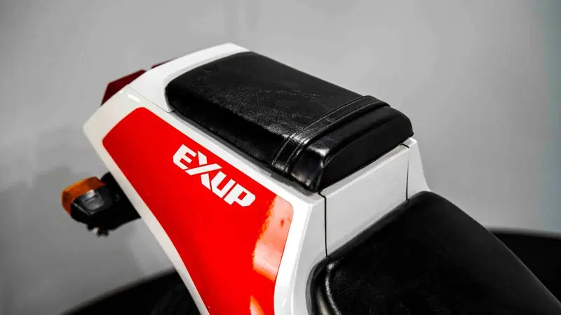 Yamaha FZR 250 R (11)