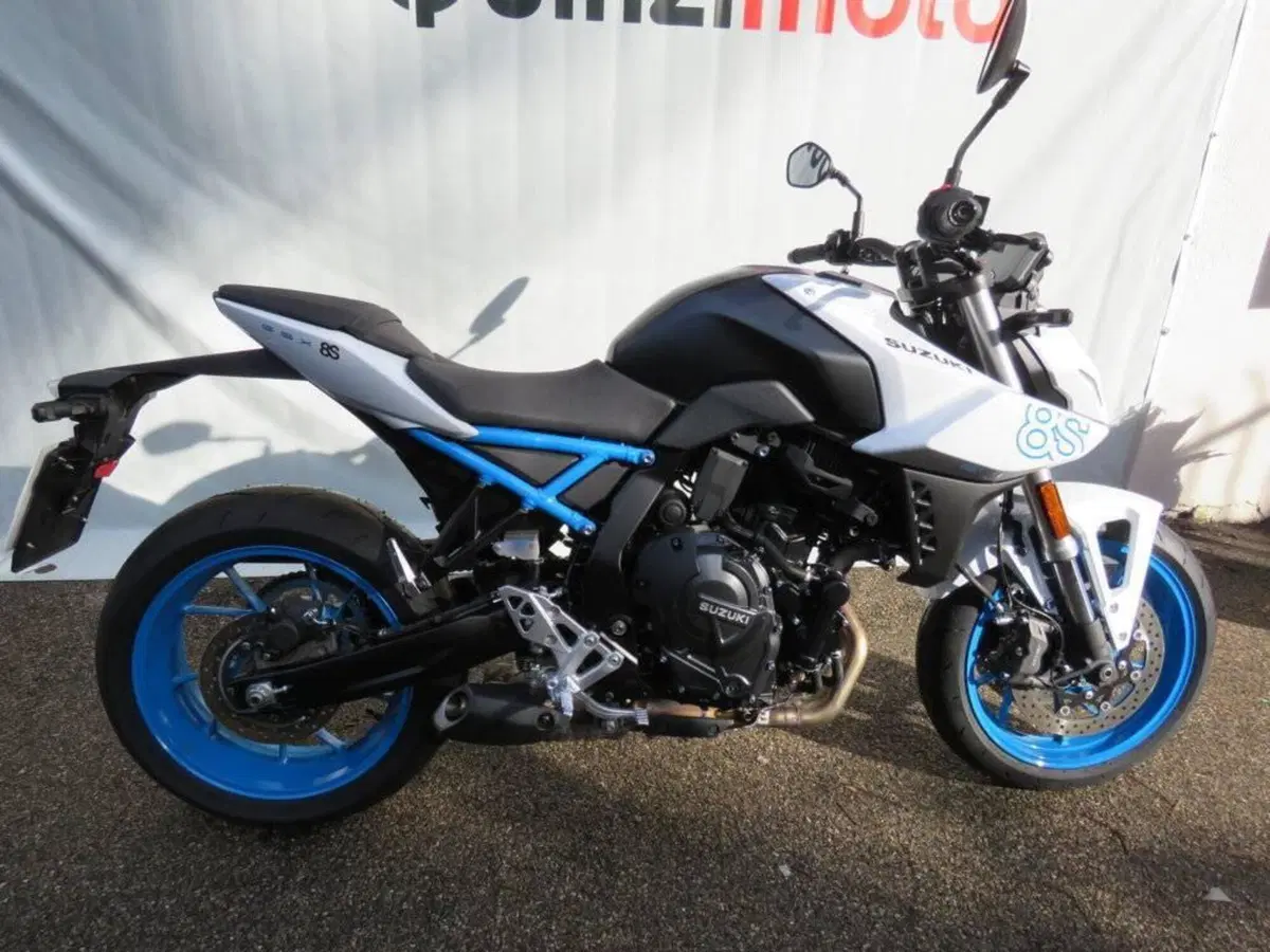 Suzuki GSX-8S (2023 - 24) (2)