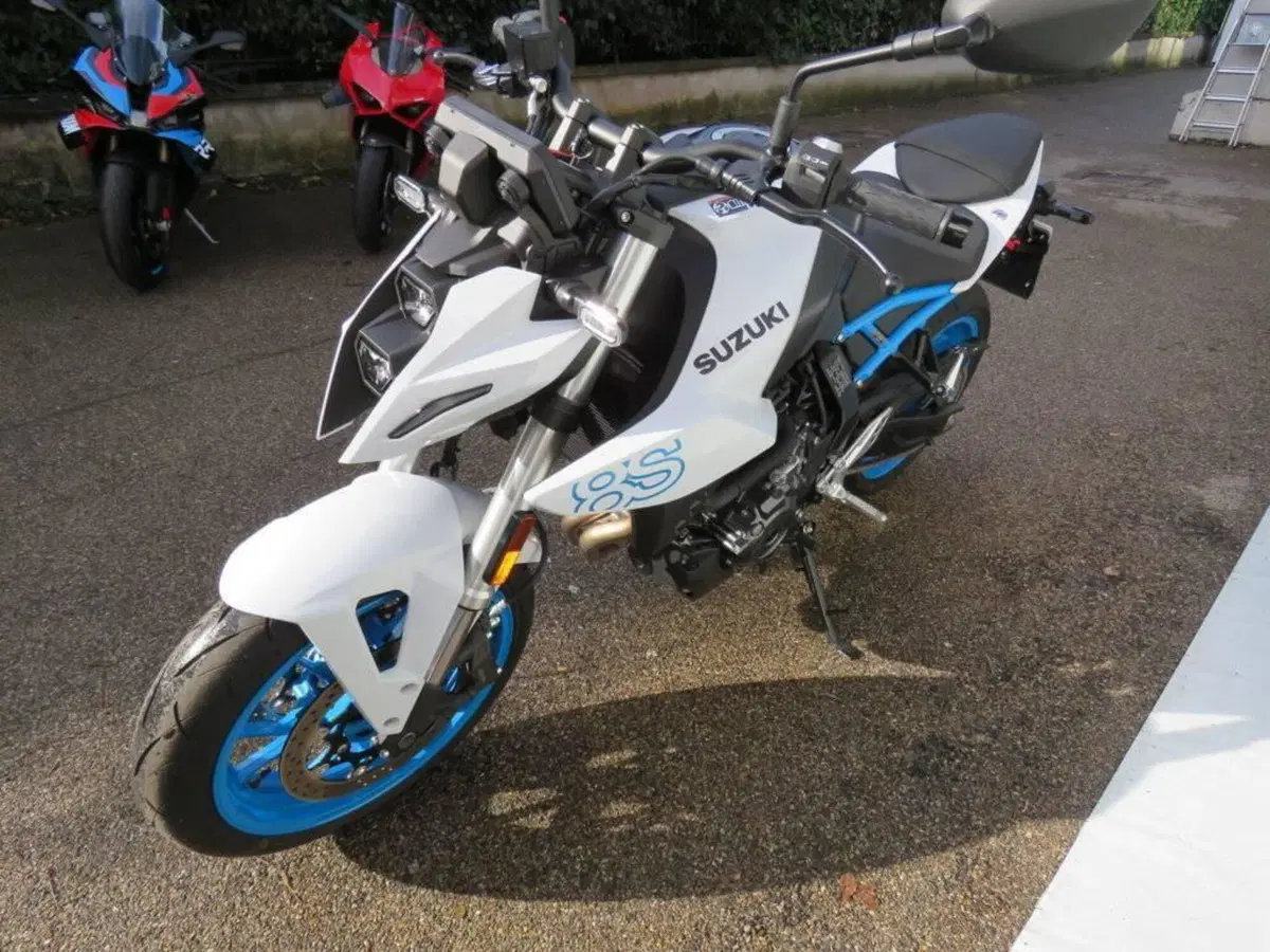 Suzuki GSX-8S (2023 - 24) (6)