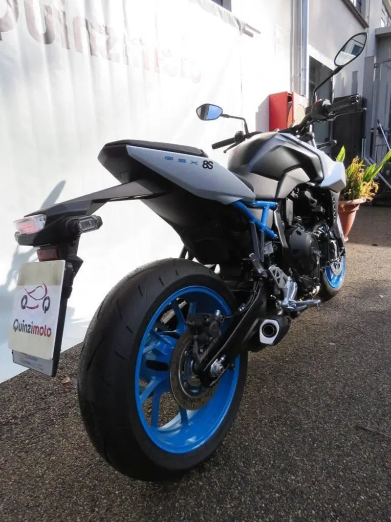 Suzuki GSX-8S (2023 - 24) (17)