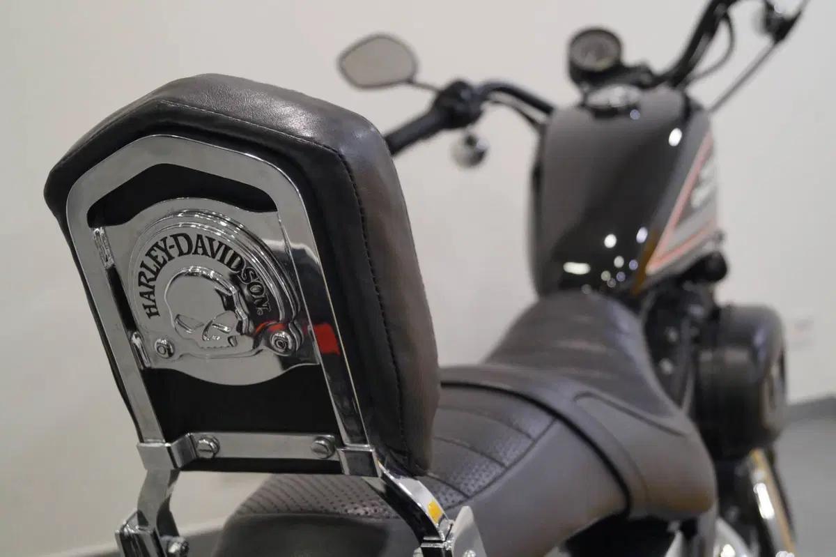Harley-Davidson 883 R (2008 - 16) - XL 883R (13)