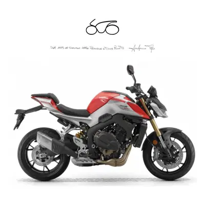 QJ Motor SRK 800 (2025 - 26) nuova