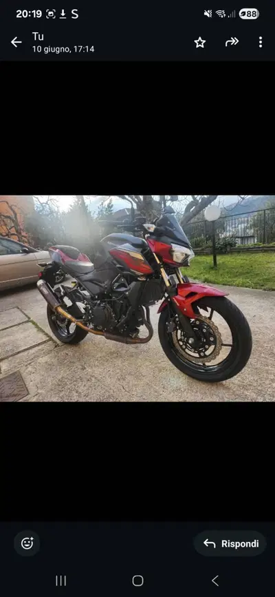 Kawasaki Z 400 (2019 - 20) usata