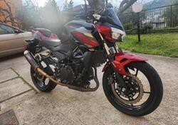 Kawasaki Z 400 (2019 - 20) usata