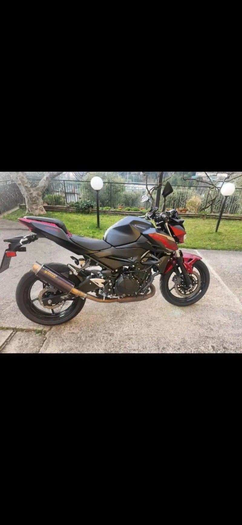 Kawasaki Z 400 (2019 - 20) (2)