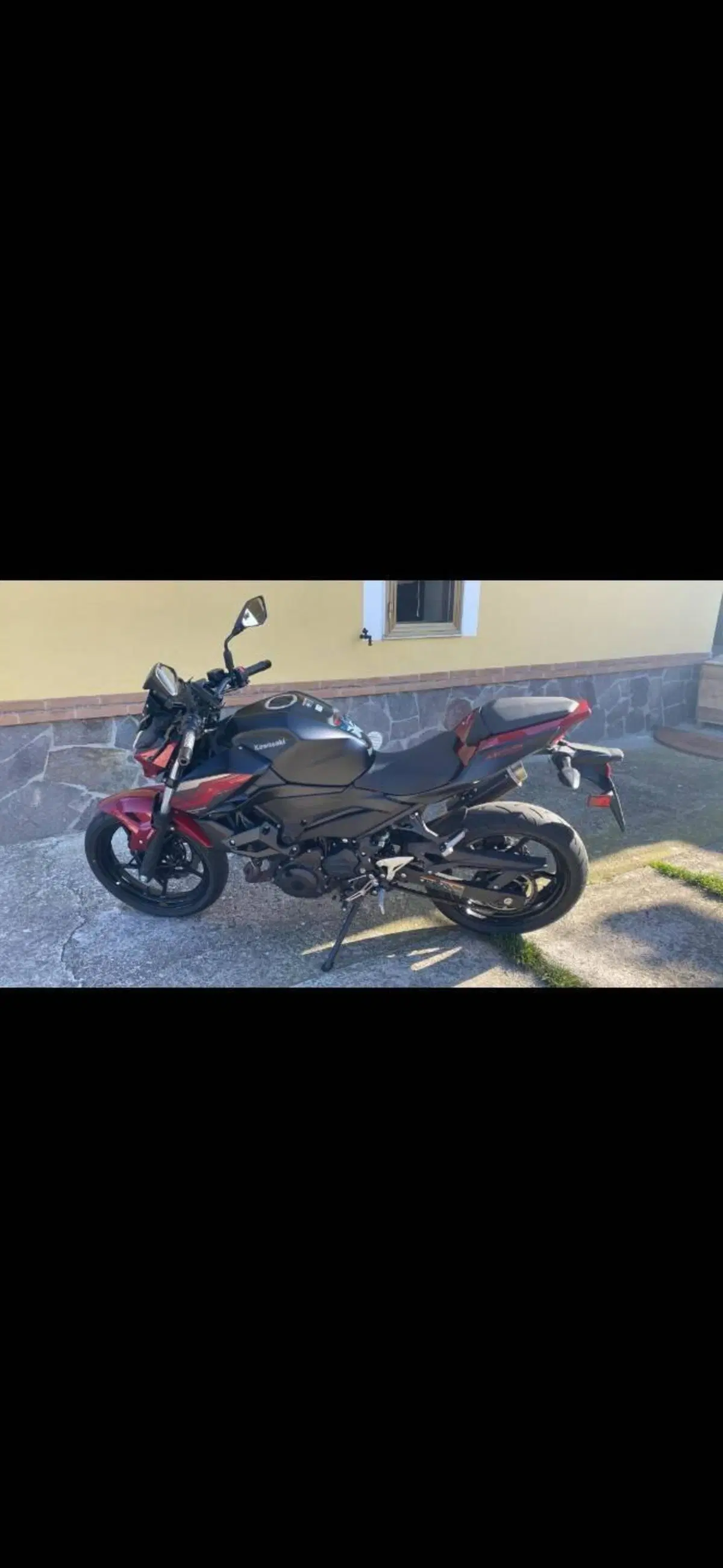 Kawasaki Z 400 (2019 - 20) (3)