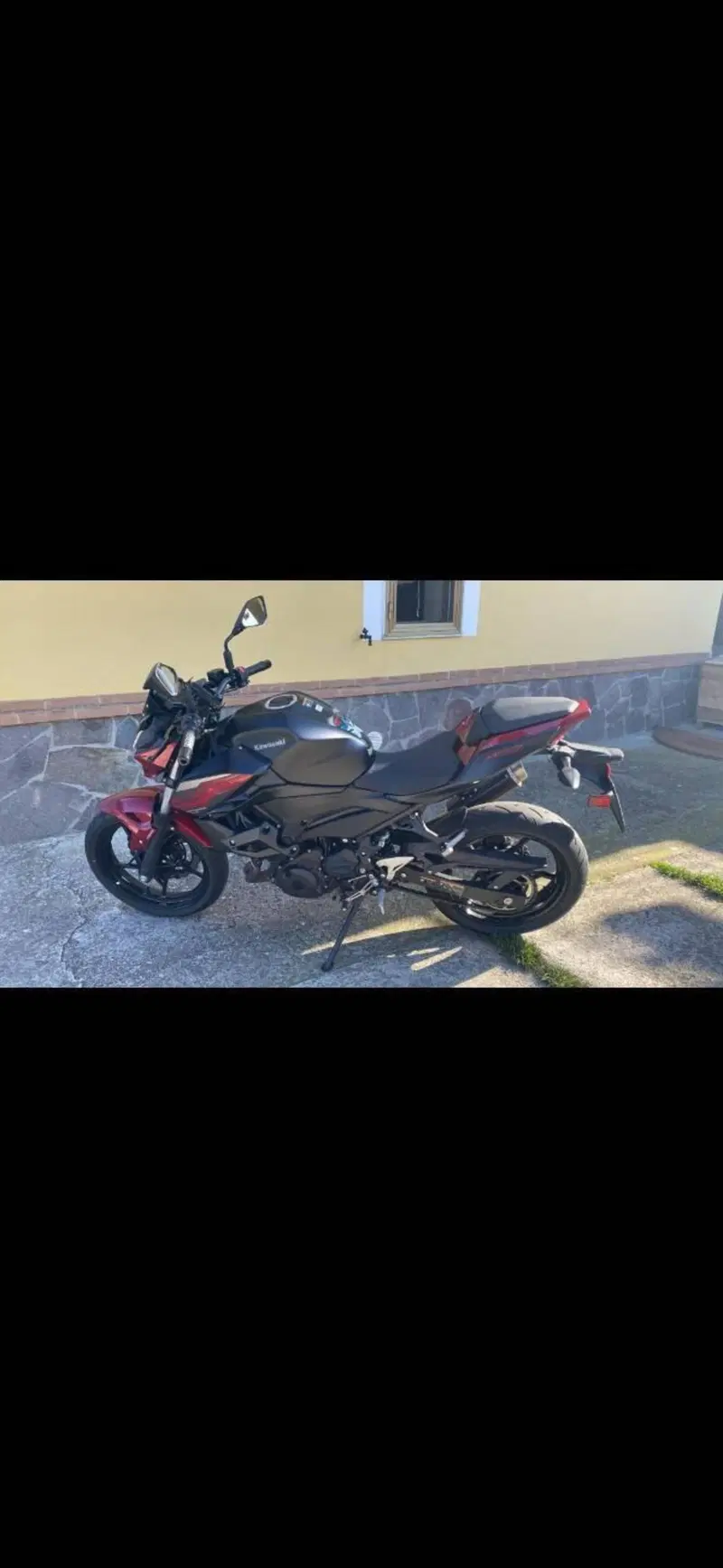 Kawasaki Z 400 (2019 - 20) (3)