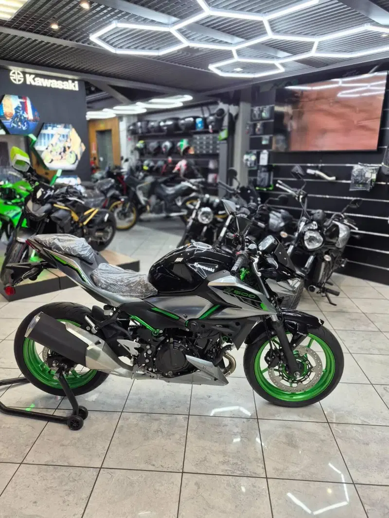 Kawasaki Z 500 SE (2024 - 26) (4)