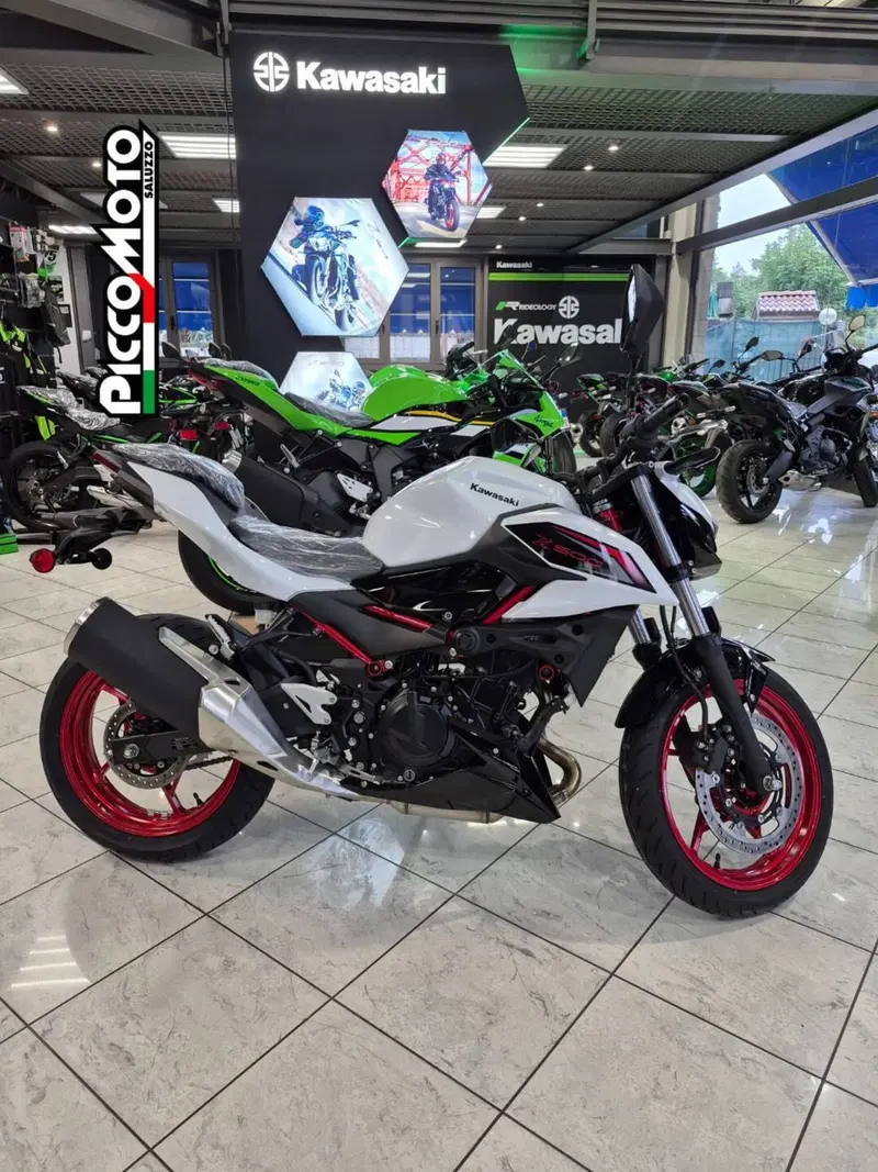 Kawasaki Z 500 SE (2024 - 26) (5)