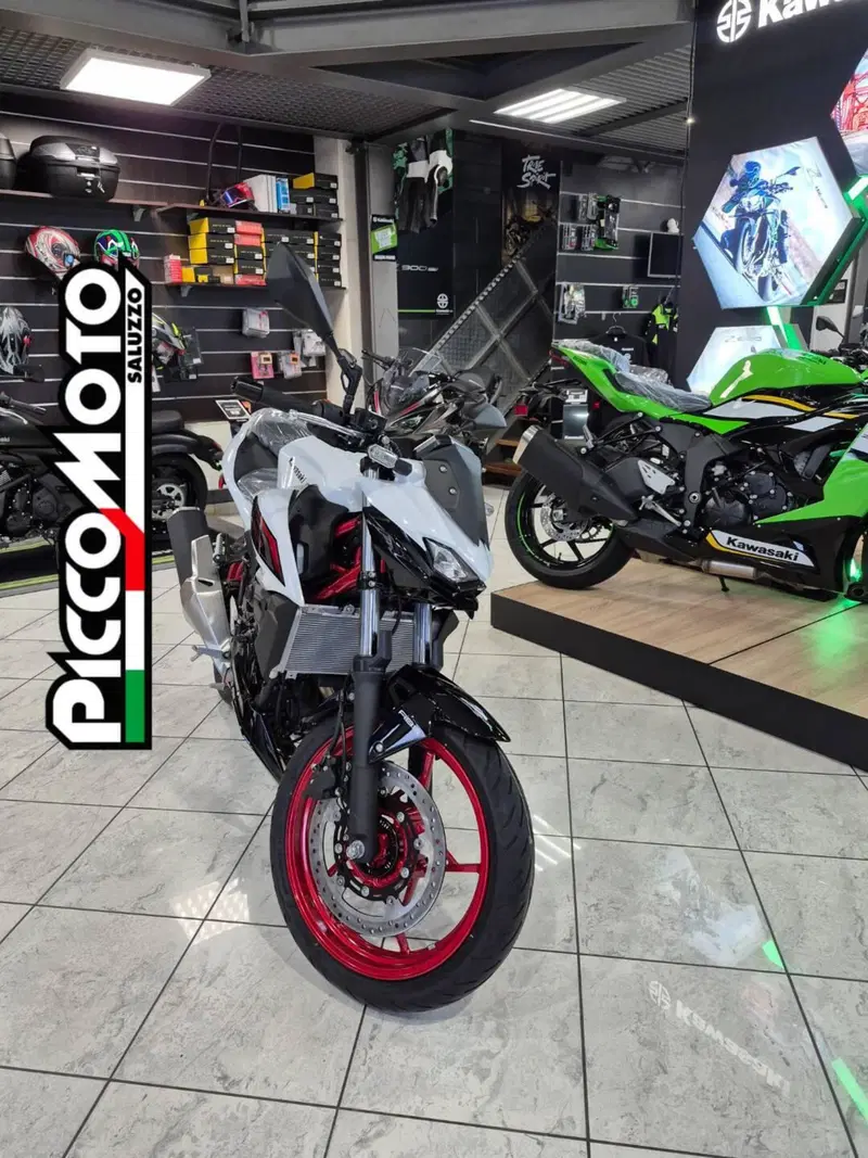 Kawasaki Z 500 SE (2024 - 26) (7)