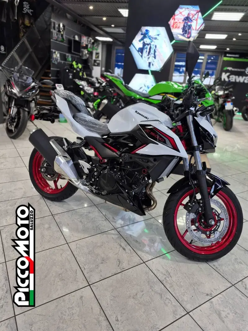 Kawasaki Z 500 SE (2024 - 26) (10)