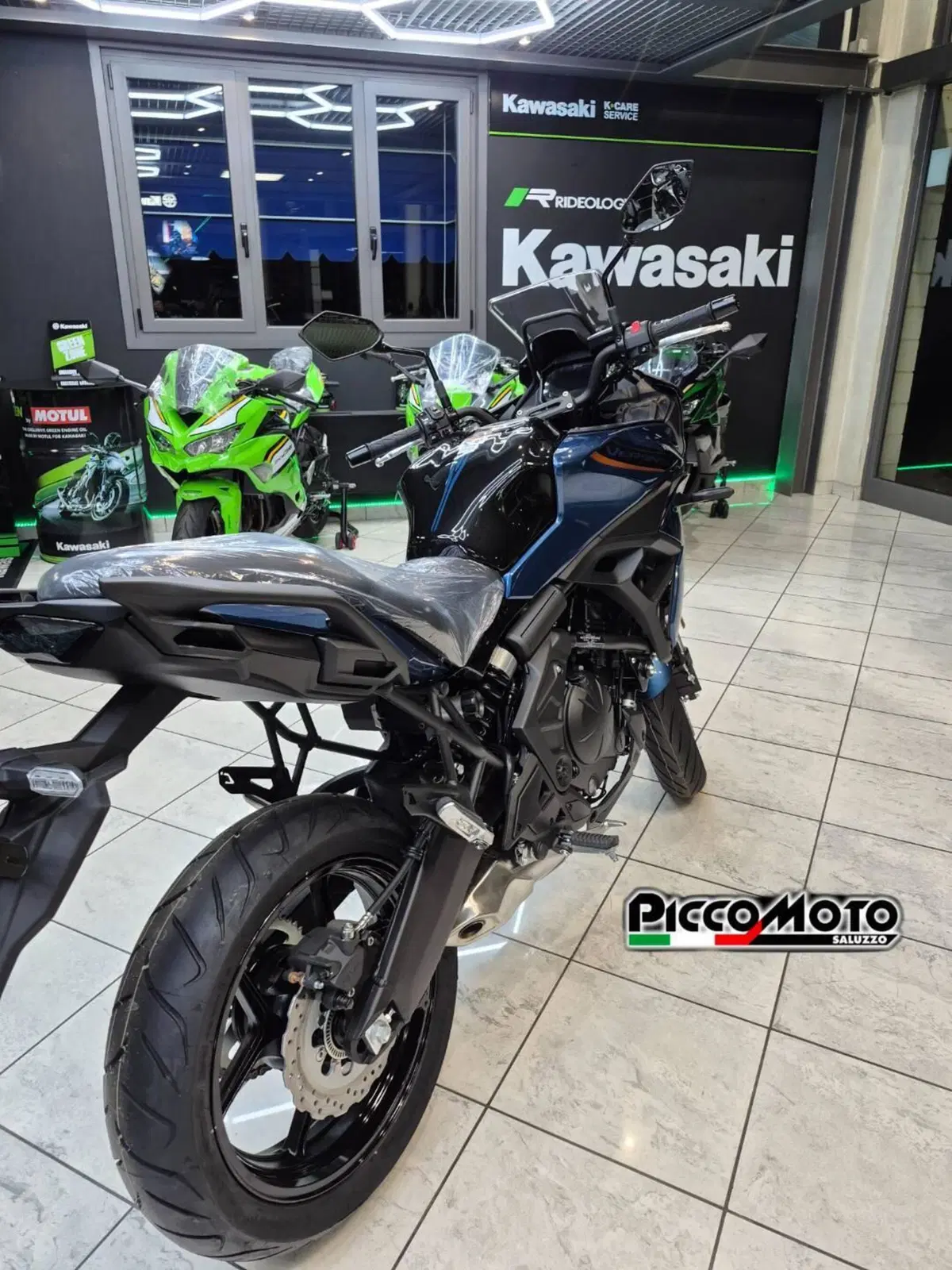 Kawasaki Versys 650 (2025 - 26) (17)
