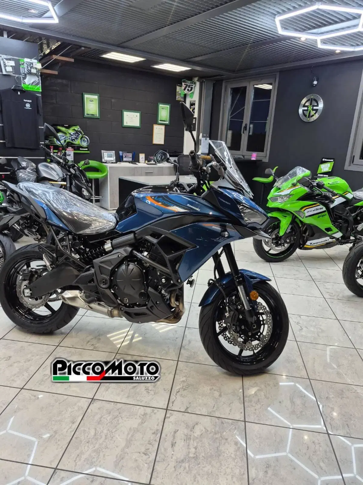 Kawasaki Versys 650 (2025 - 26) (18)