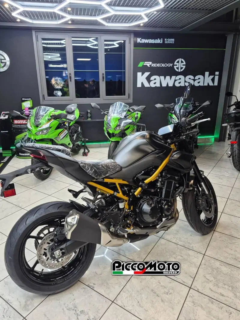 Kawasaki Z 900 (2025 - 26)