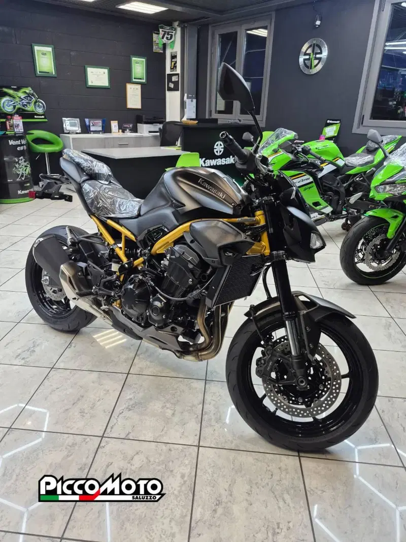 Kawasaki Z 900 (2025 - 26) (3)