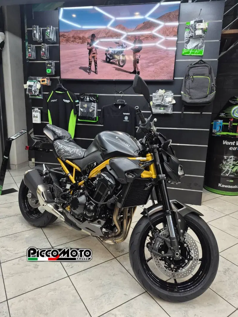 Kawasaki Z 900 (2025 - 26) (12)