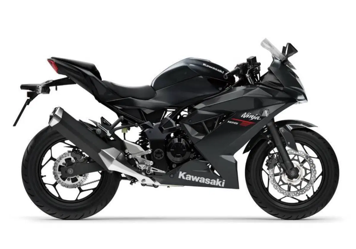 Kawasaki Ninja 125 (2021 - 24) (9)