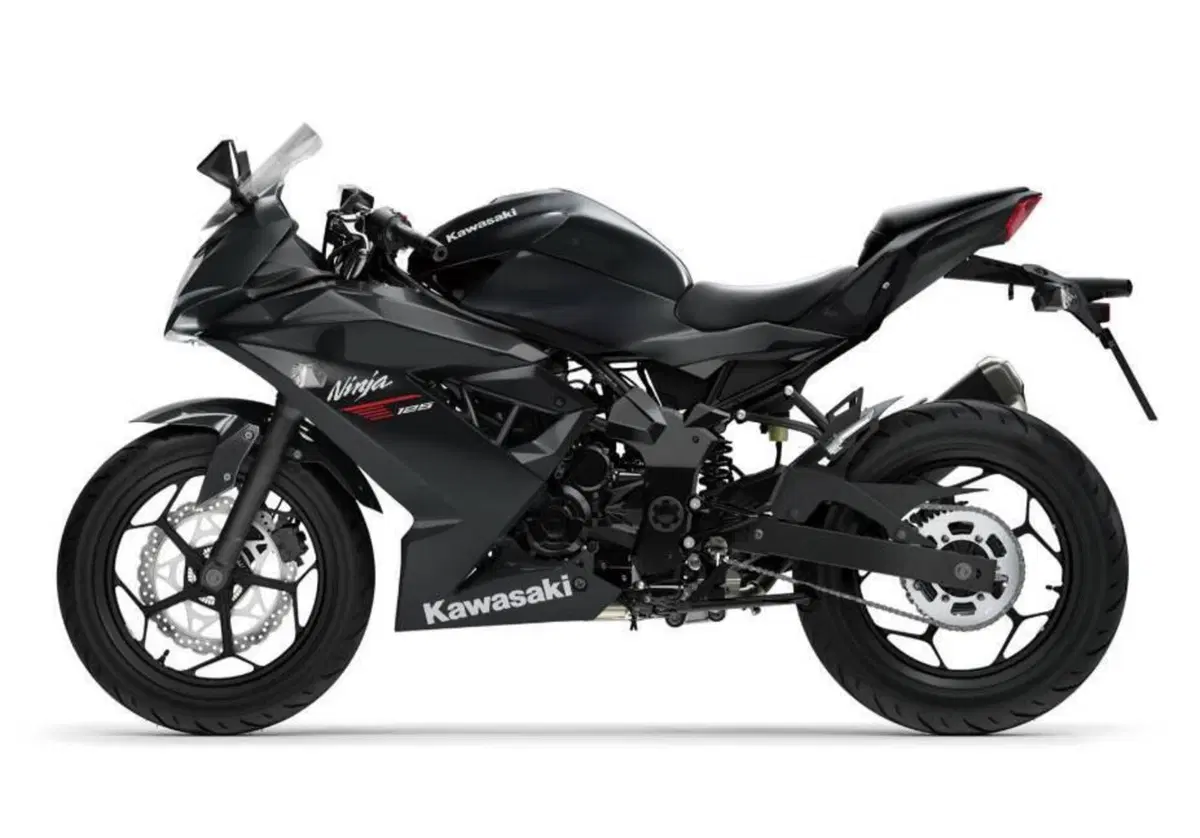 Kawasaki Ninja 125 (2021 - 24) (10)