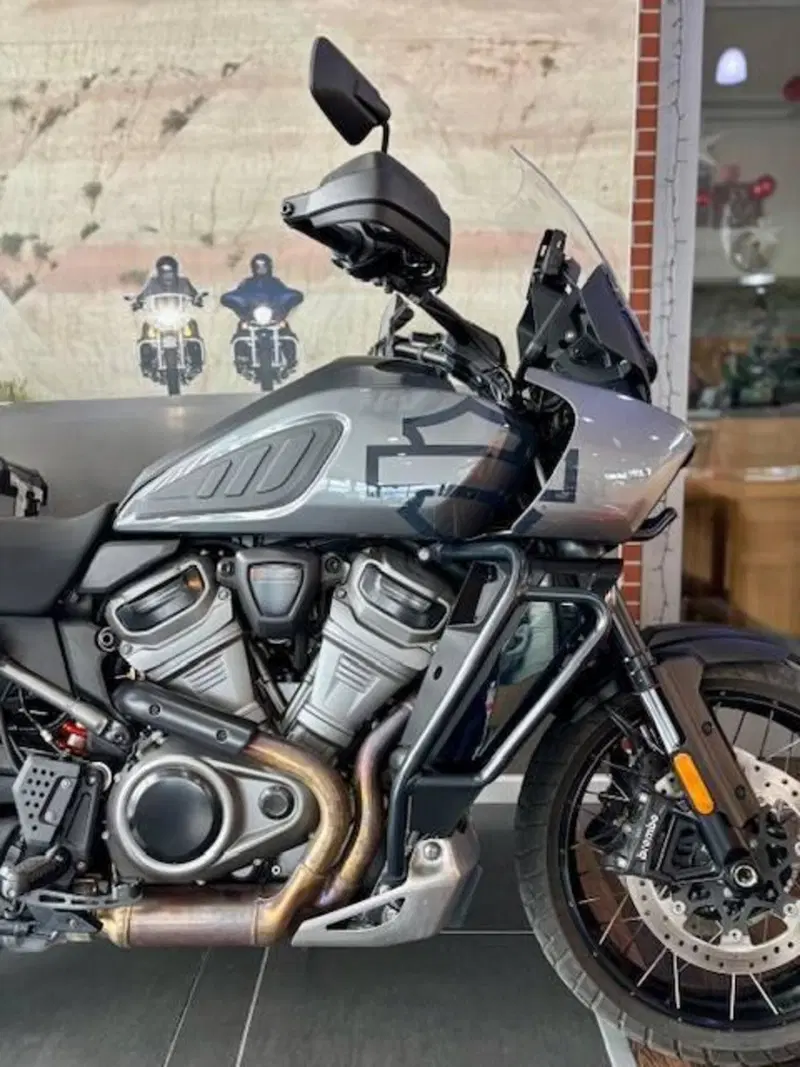 Harley-Davidson Pan America 1250 Special (2020 - 25) (3)