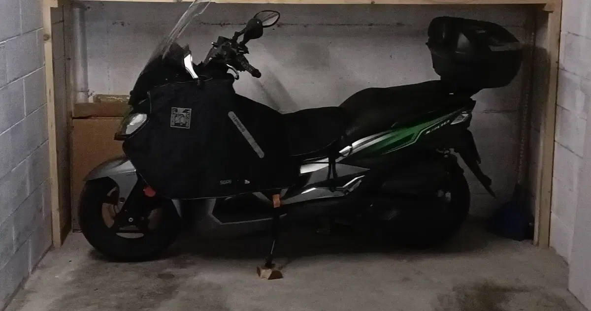 Kawasaki J 300 (2017 - 21)