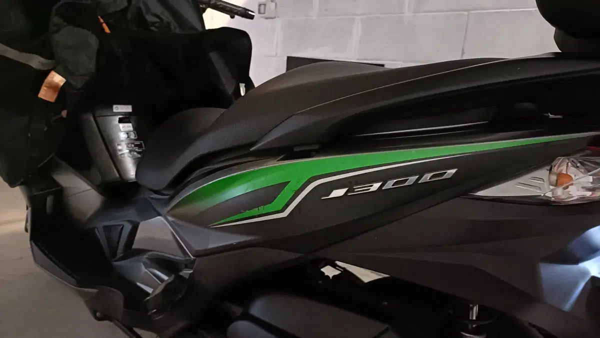 Kawasaki J 300 (2017 - 21) (4)