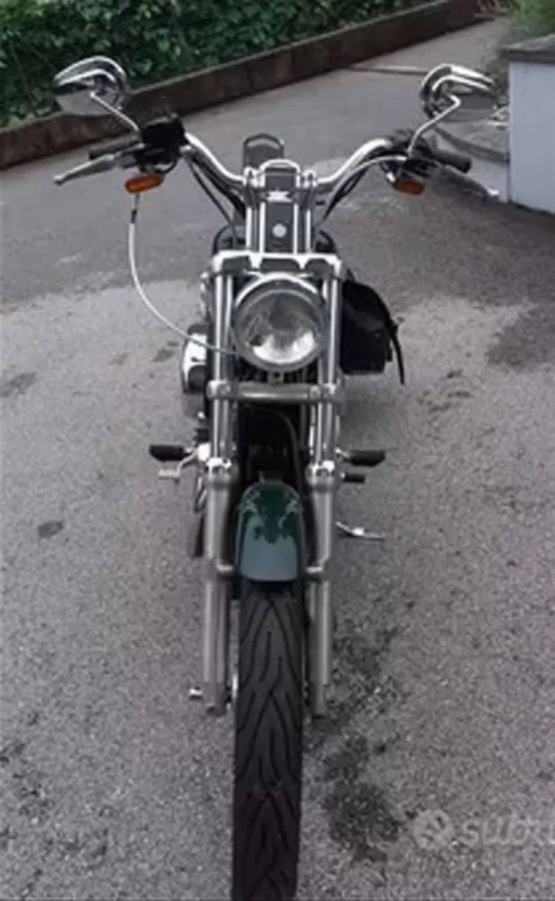 Harley-Davidson sportster 1200 (2)