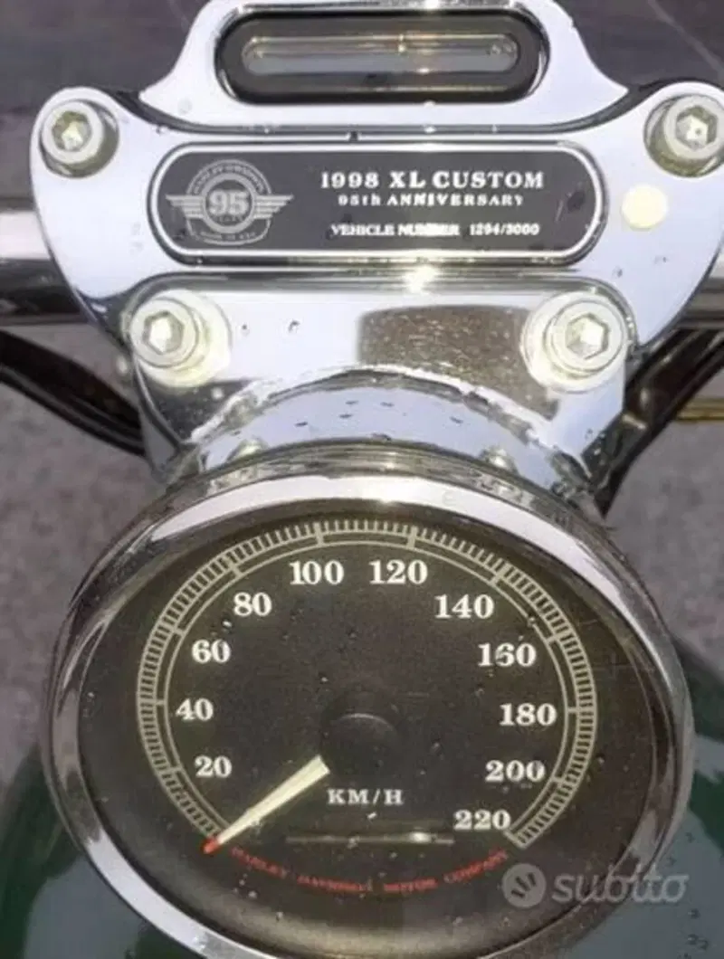 Harley-Davidson sportster 1200 (4)