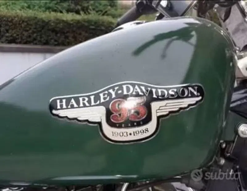 Harley-Davidson sportster 1200 (5)