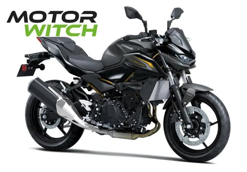 Kawasaki Z 500 (2024 - 26)