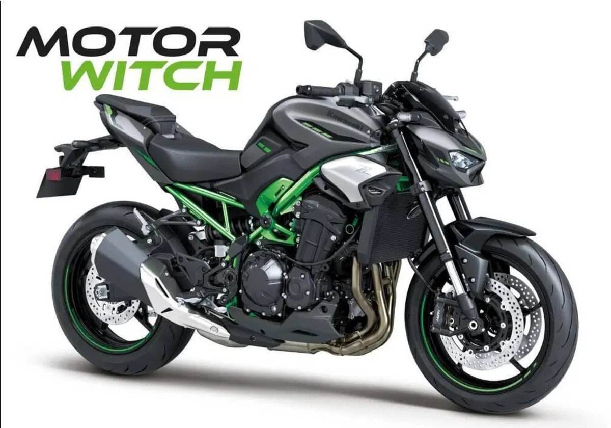 Kawasaki Z 900 (2025 - 26)