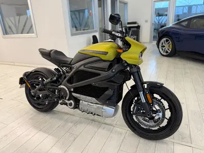 Harley-Davidson LiveWire (2019 - 22) usata