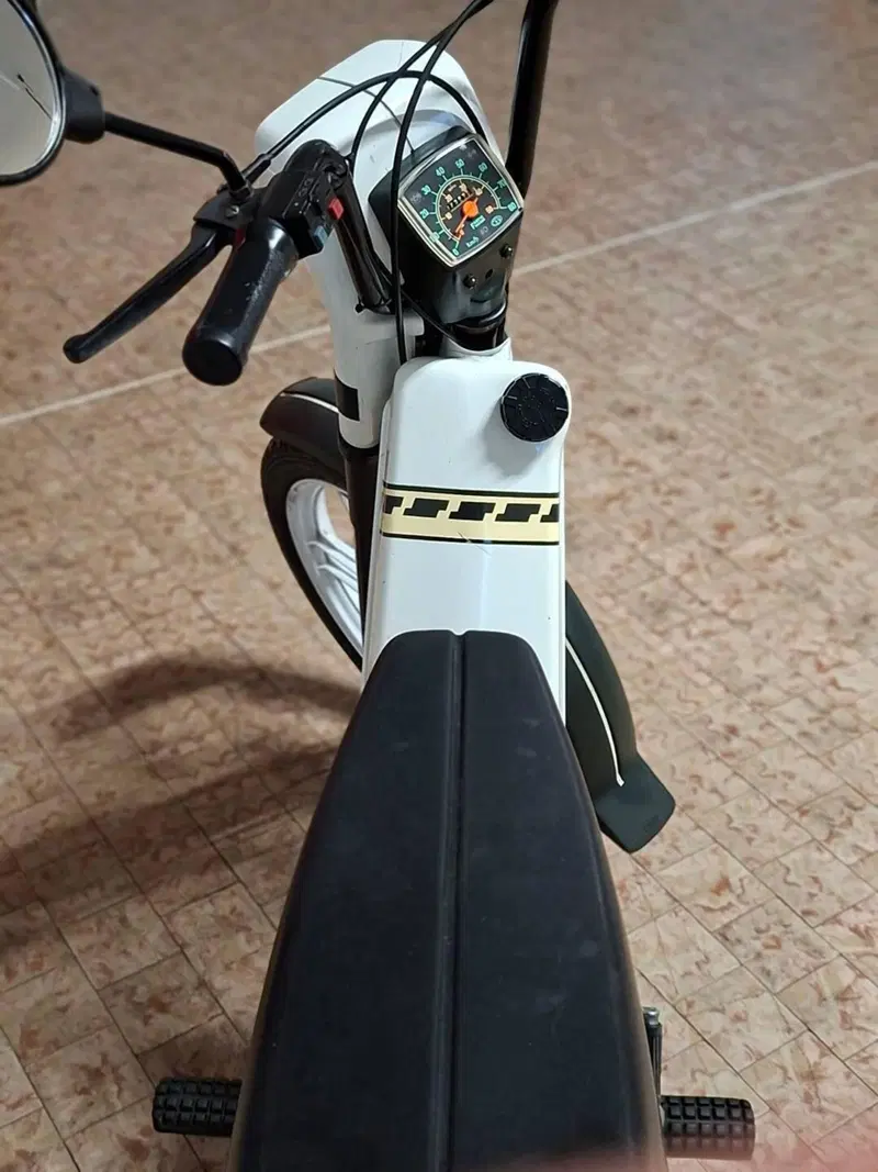 Fantic Motor ISSIMO (4)