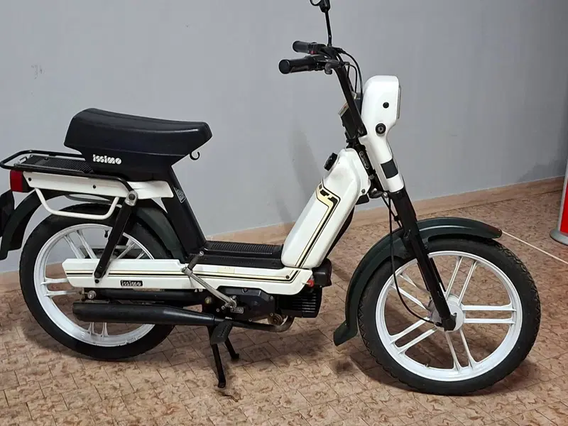 Fantic Motor ISSIMO (2)
