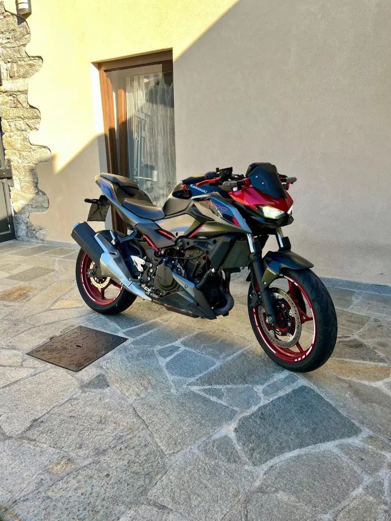 Kawasaki Z 500 SE (2024 - 26)