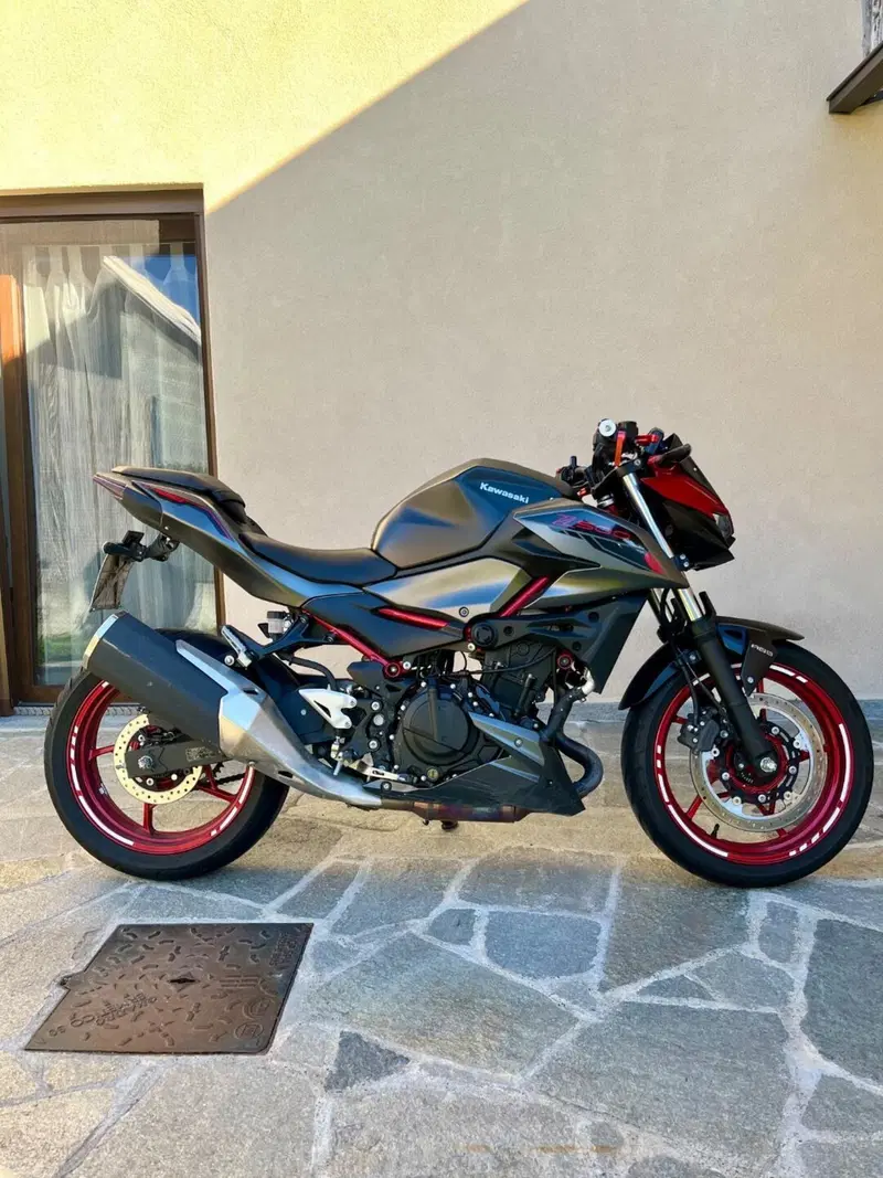 Kawasaki Z 500 SE (2024 - 26) (2)